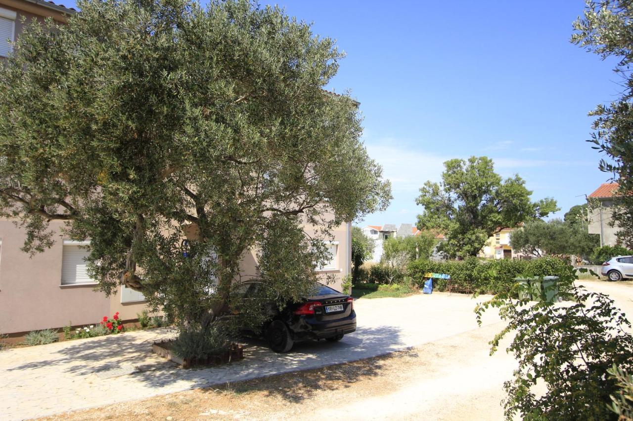 Apartmani Neja Bibinje Bagian luar foto